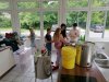 IMG_20240525_104447