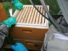IMG_20240525_120844_1