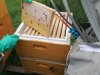 IMG_20240525_120847