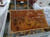 IMG_20240525_121954