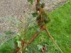IMG_20200914_150432
