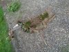 IMG_20200914_150517