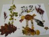 IMG_20201103_133358