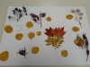 IMG_20201103_133540