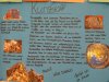 IMG_20200913_151137