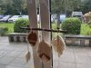 IMG_0799