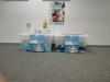 IMG-20190222-WA0003